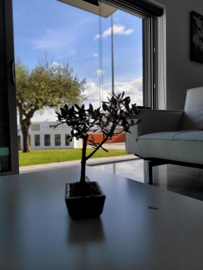 Olive Ap. Appartement Torreira Buitenkant foto